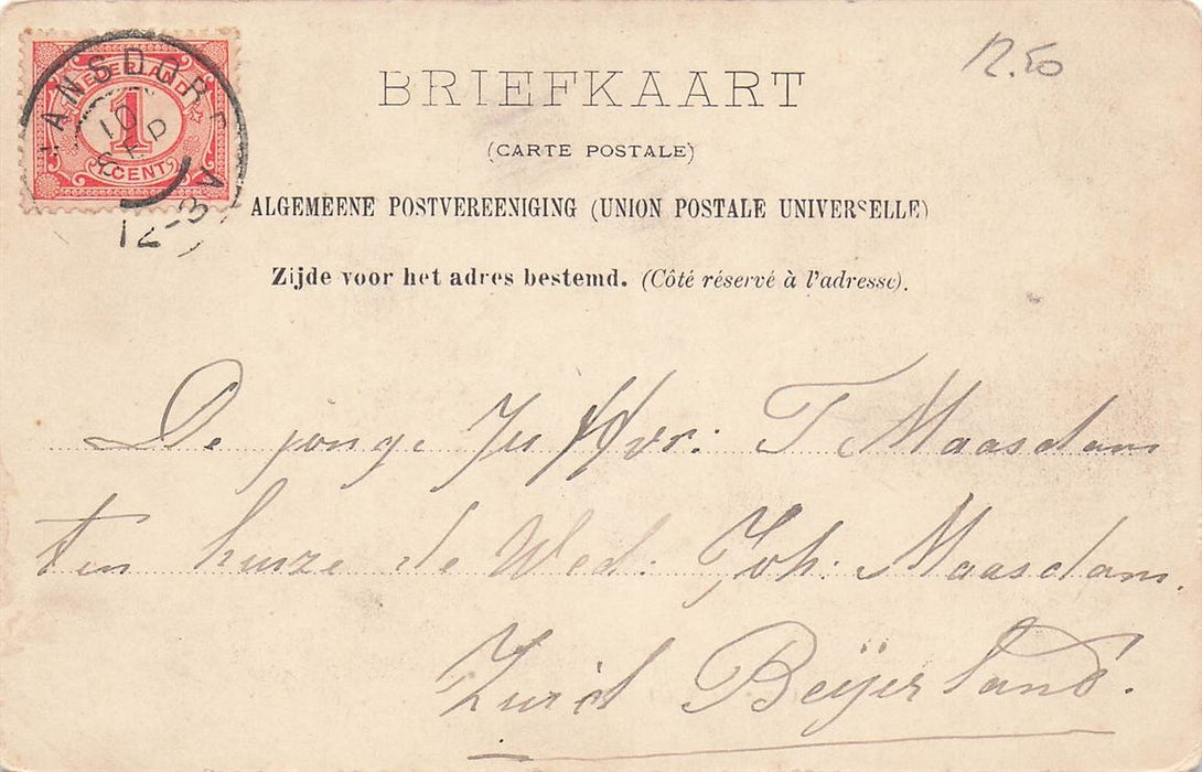 Dordrecht Corns De Witstraat