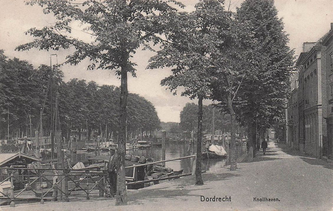 Dordrecht Knolhaven
