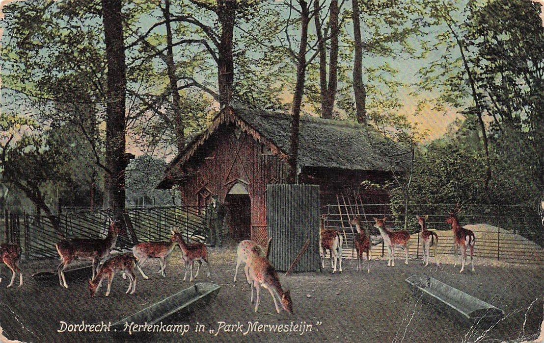 Dordrecht Hertenkamp In Park Merwesteijn