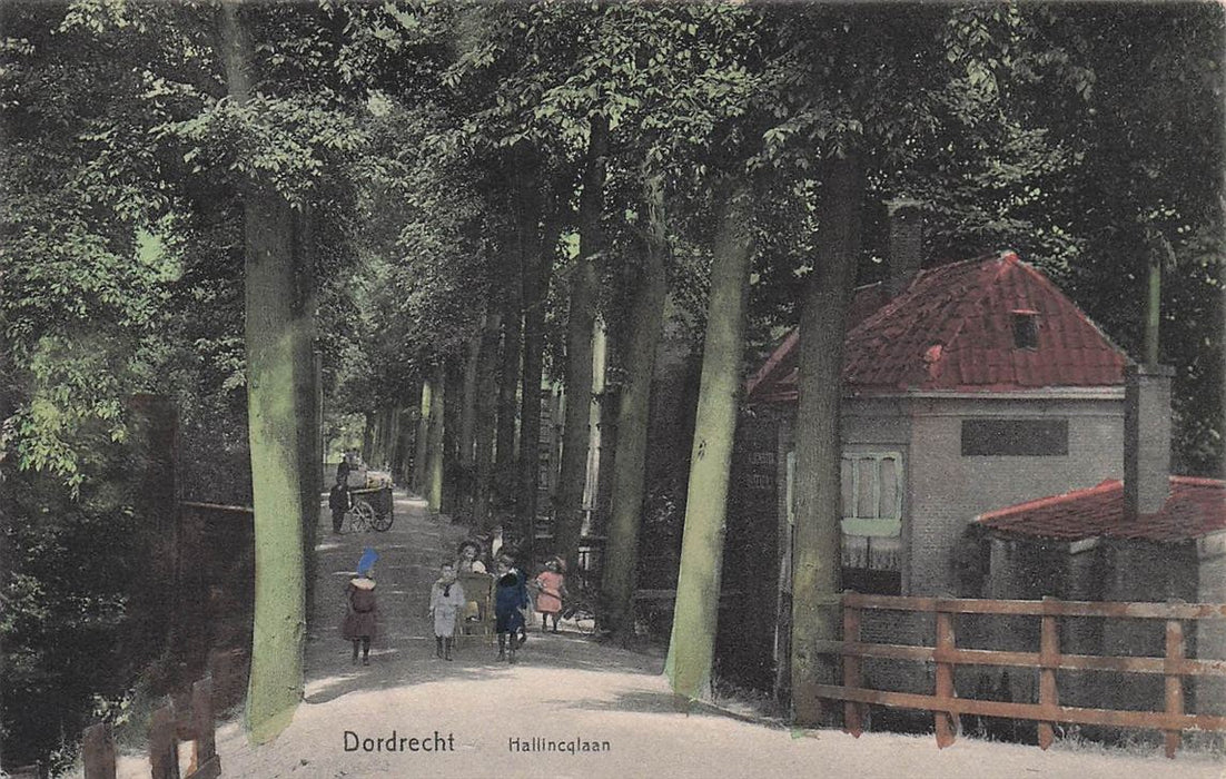 Dordrecht Hallincqlaan