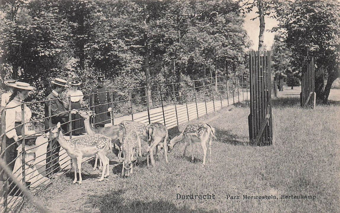 Dordrecht Park Merwestein