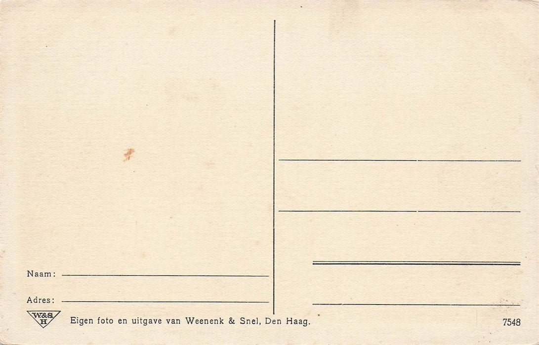 Borculo Na De Cycloon Op 10 Augustus 1925