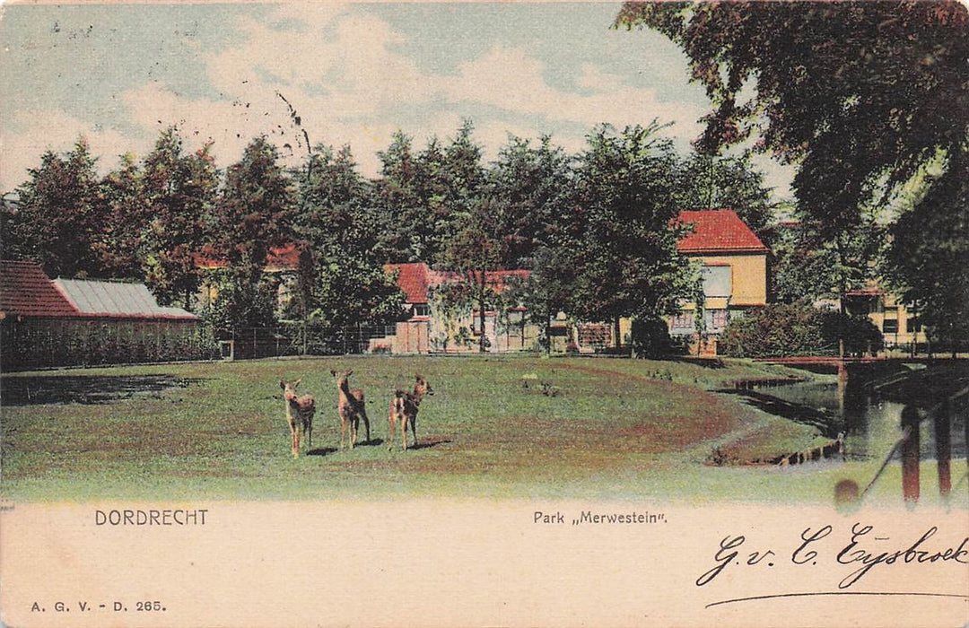 Dordrecht Park Merwestein