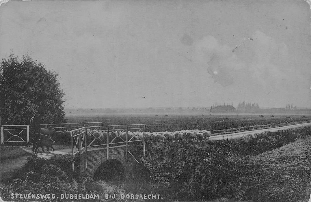 Stevensweg Dubbeldam Bij Dordrecht