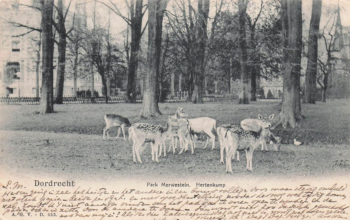 Dordrecht Park Merwestein Hertenkamp