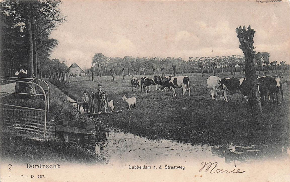 Dordrecht Dubbeldam A D Straatweg