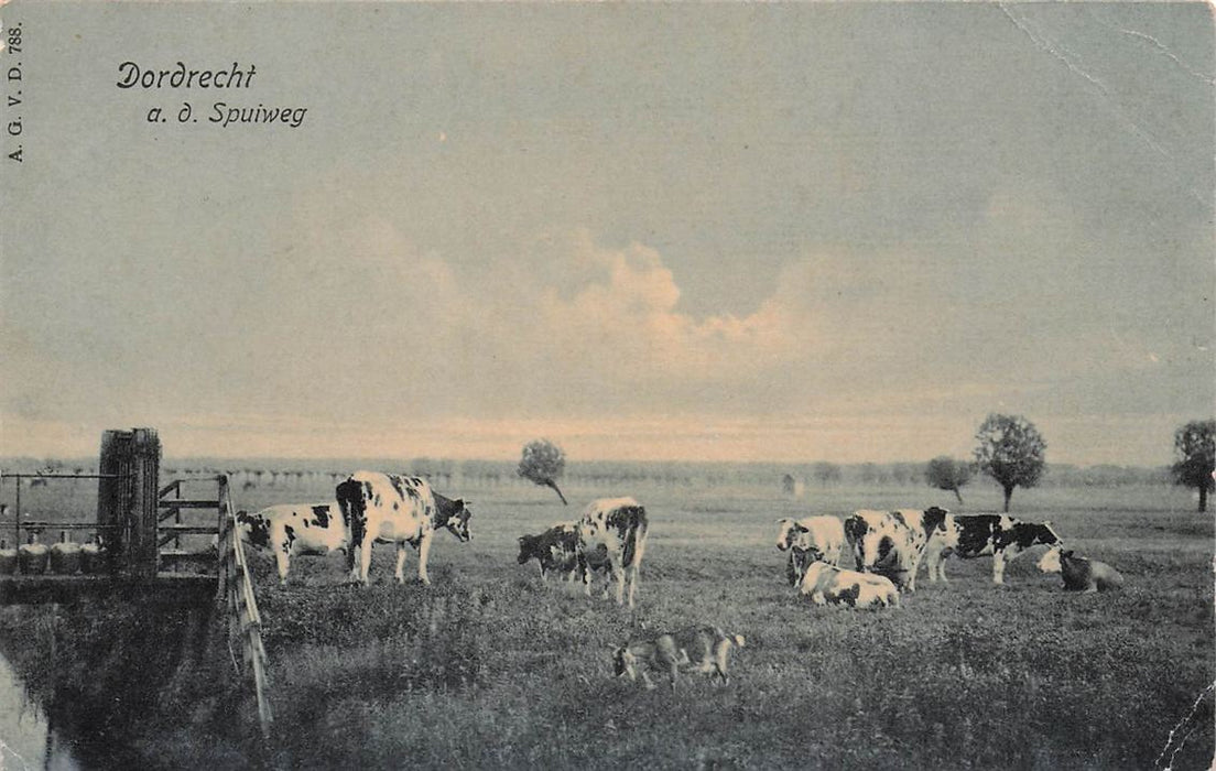 Dordrecht A D Spuiweg