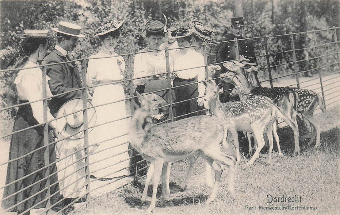 Dordrecht Park Merwestein Herlenkamp
