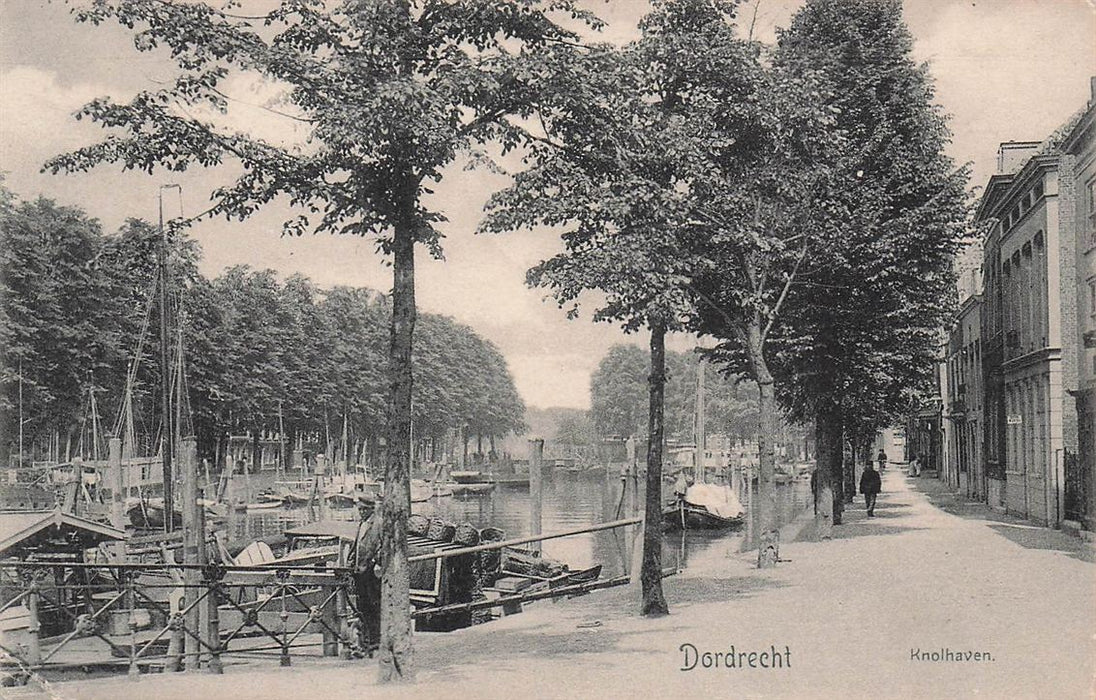 Dordrecht Knolhaven