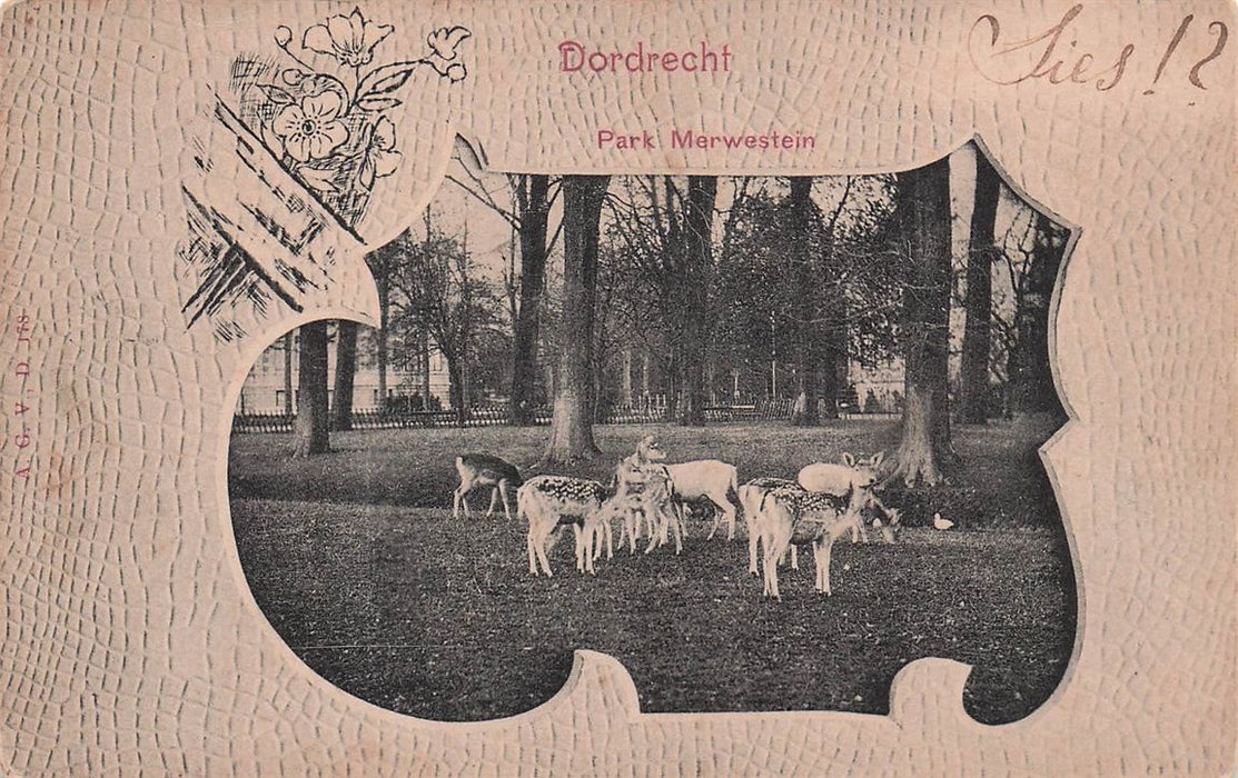 Dordrecht Park Merwestein