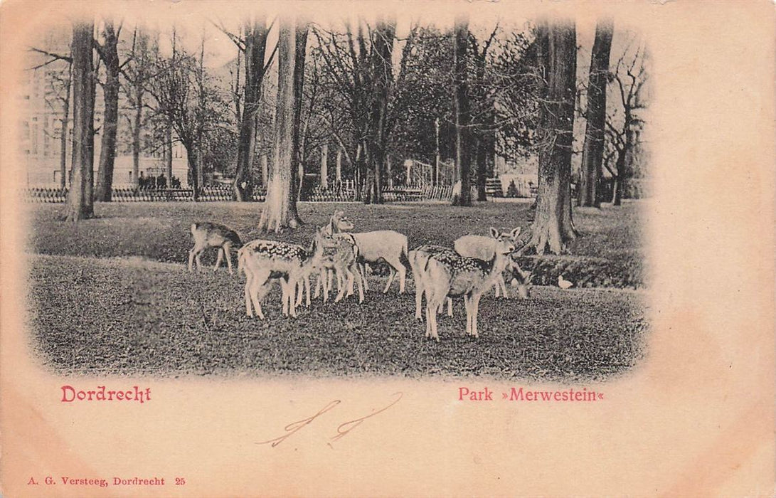 Dordrecht Park Merwestein