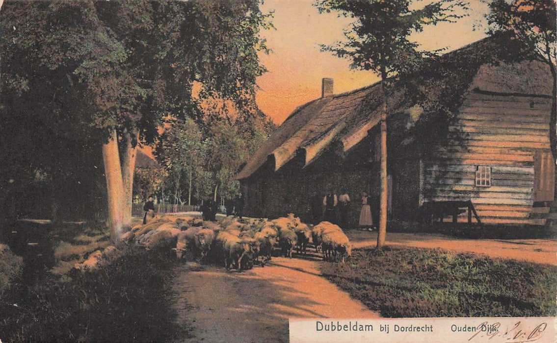 Dubbeldam Bij Dordrecht