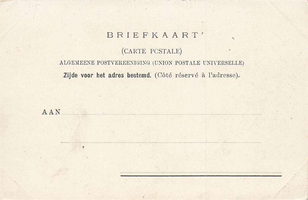 Hopital Wallon Leiden