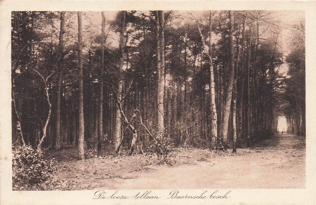 De Loose Tollaan Baarnsche Bosch