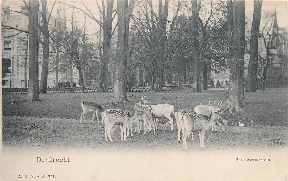 Dordrecht Park Merwestein