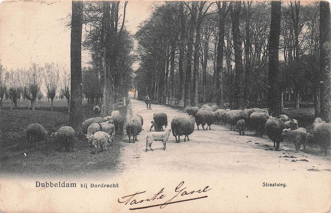 Dubbeldam Bij Dordrecht Straatweg