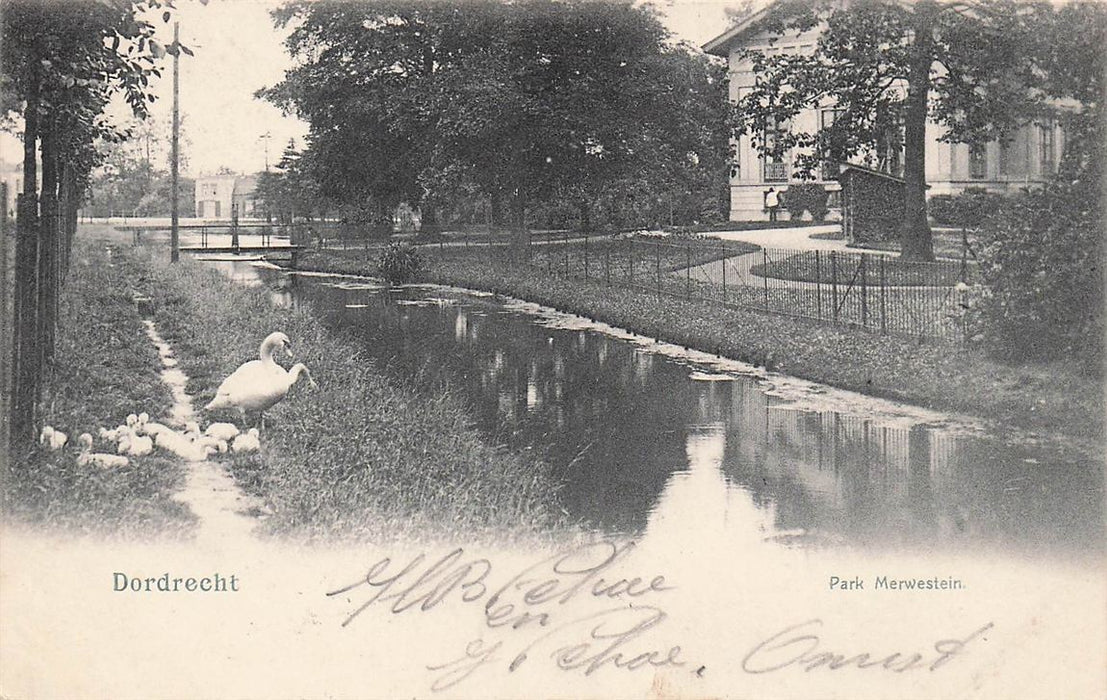 Dordrecht Park Merwestein