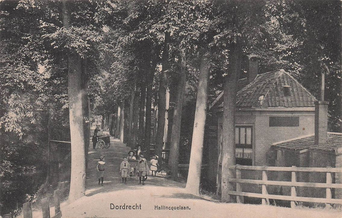 Dordrecht Hallincquelaan
