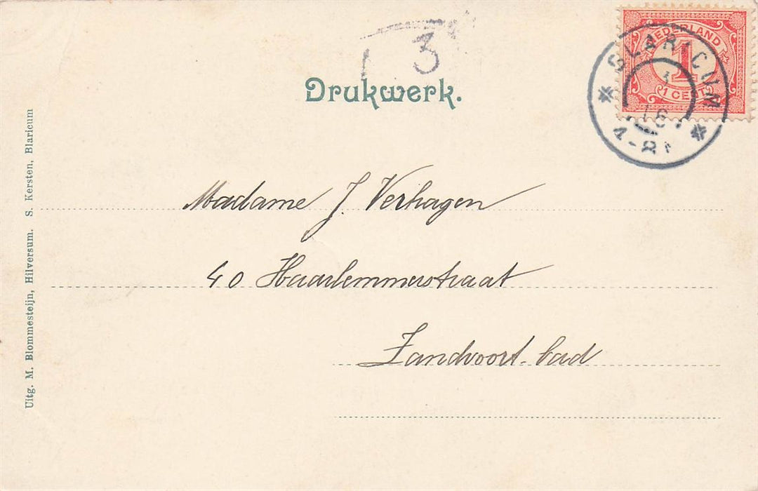 Blaricum Dorpslinde.