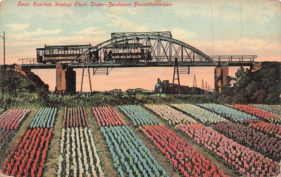 Omst Haarlem Viaduct Electr Tram-Zandvoort Hiacinthenvelden