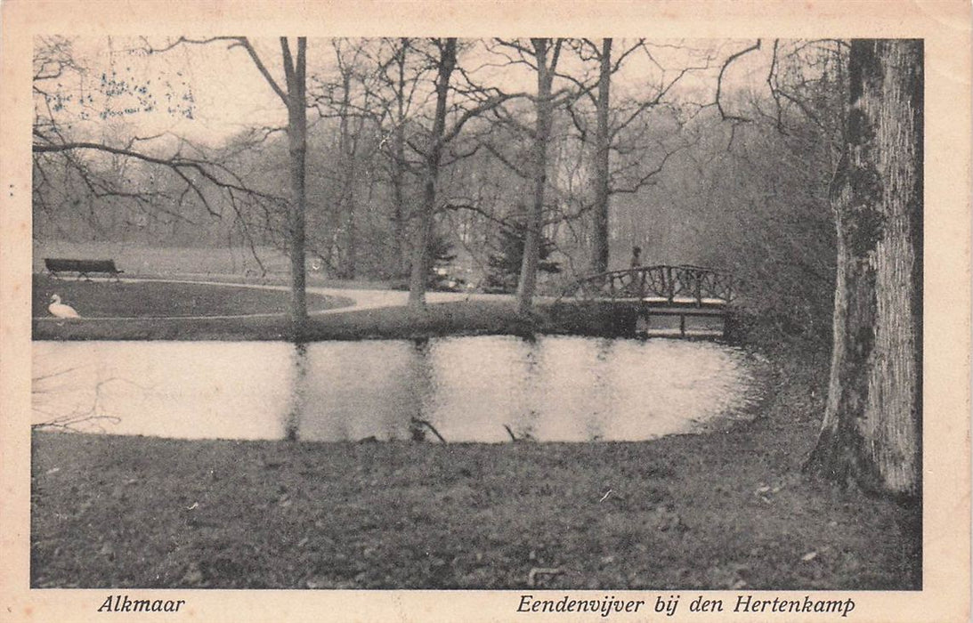 Alkmaar Eendenvijver Bij Den Hertenkamp