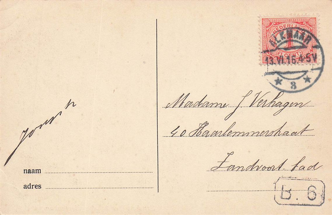 Alkmaar Eendenvijver Bij Den Hertenkamp