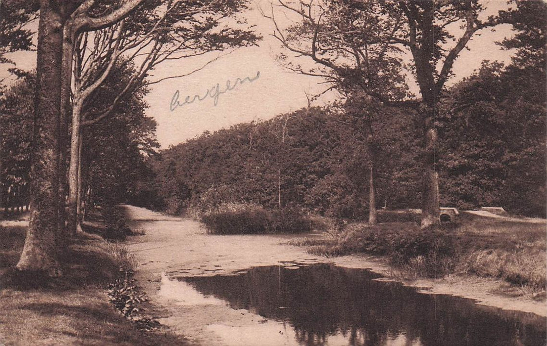 Bergen (N.-H.) De Mosselenvijver