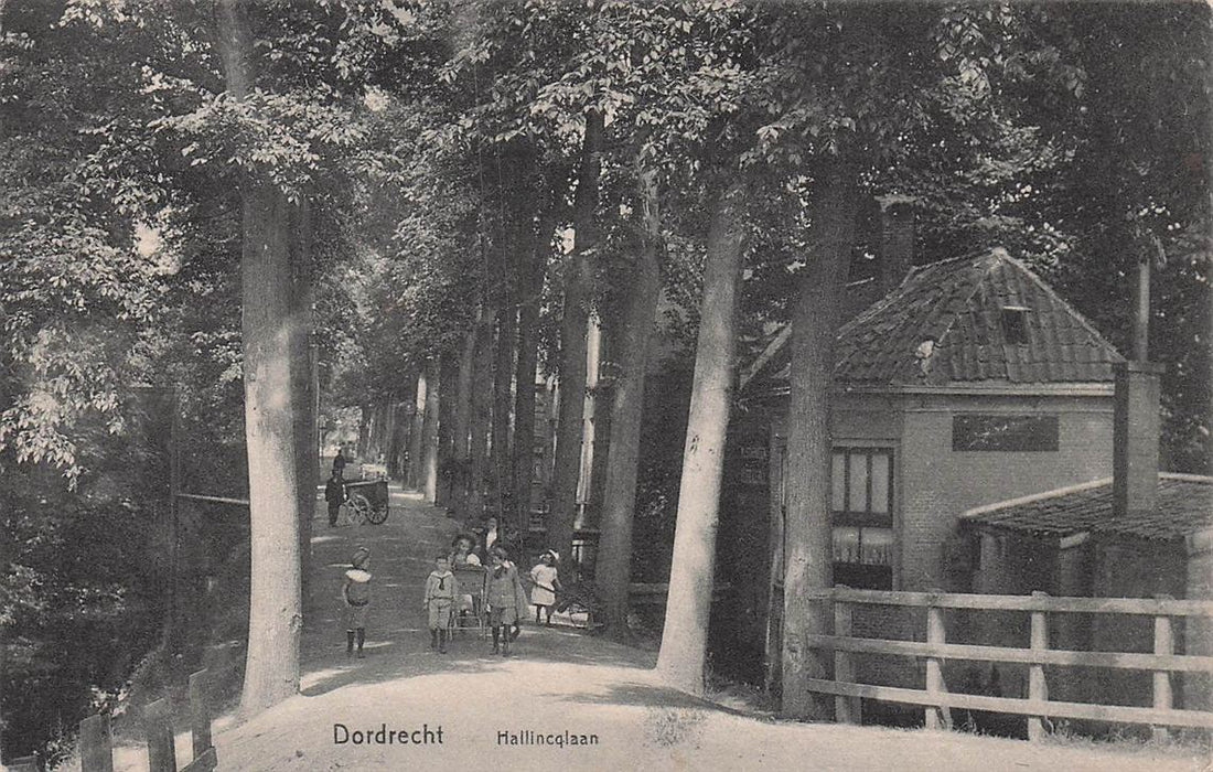 Dordrecht Hallincqlaan
