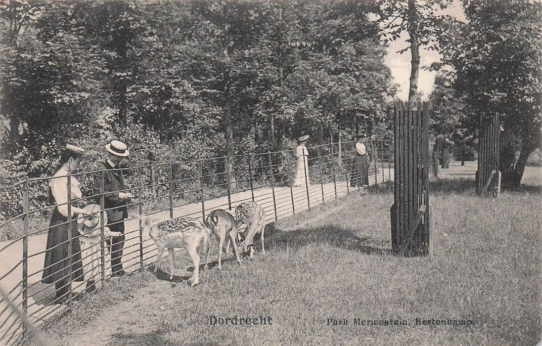 Dordrecht Park Merwestein Hertenkamp