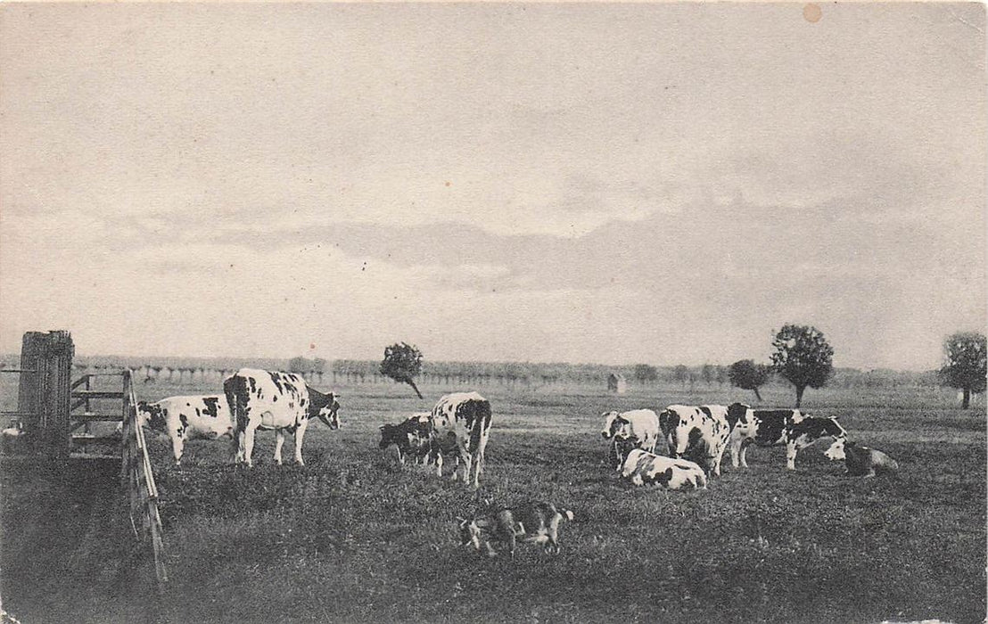 Dordrecht Ad Spuiweg