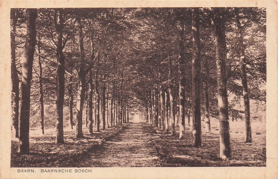 Baarn Baarnsche Bosch