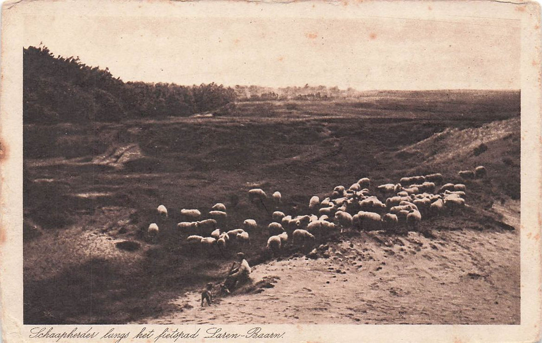Fietspad Laren-Baarn Schaapherder