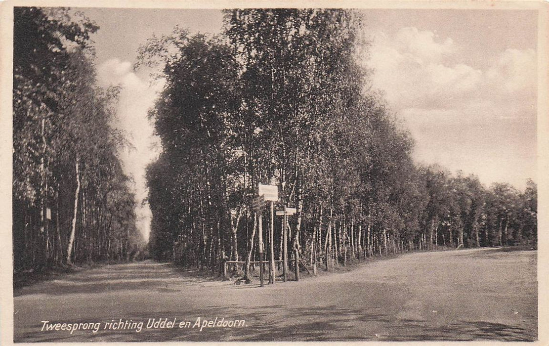 Tweesprong Richting Uddel En Apeldoorn