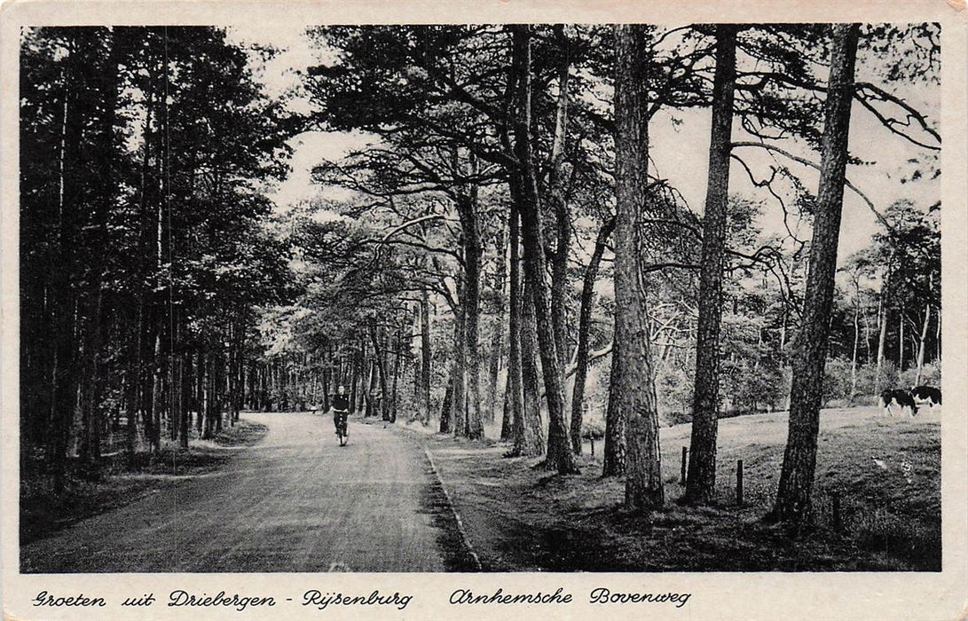 Groeten Uit Driebergen Rijsenburg Arnhemsche Bovenweg