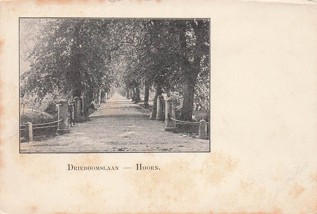Drieboomslaan Hoorn