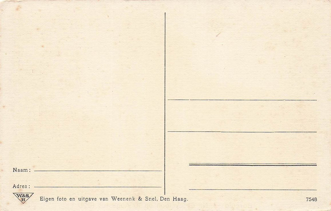 Borculo Na De Cycloon Op 10 Augustus 1925