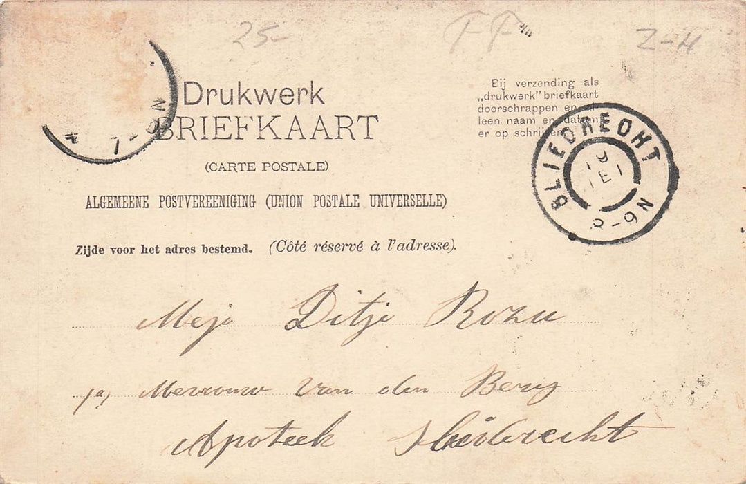 Gorinchem Schelluinsche Vliet