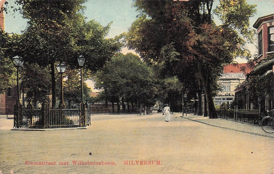 Hilversum Emmastraat Met Wilhelminaboom.