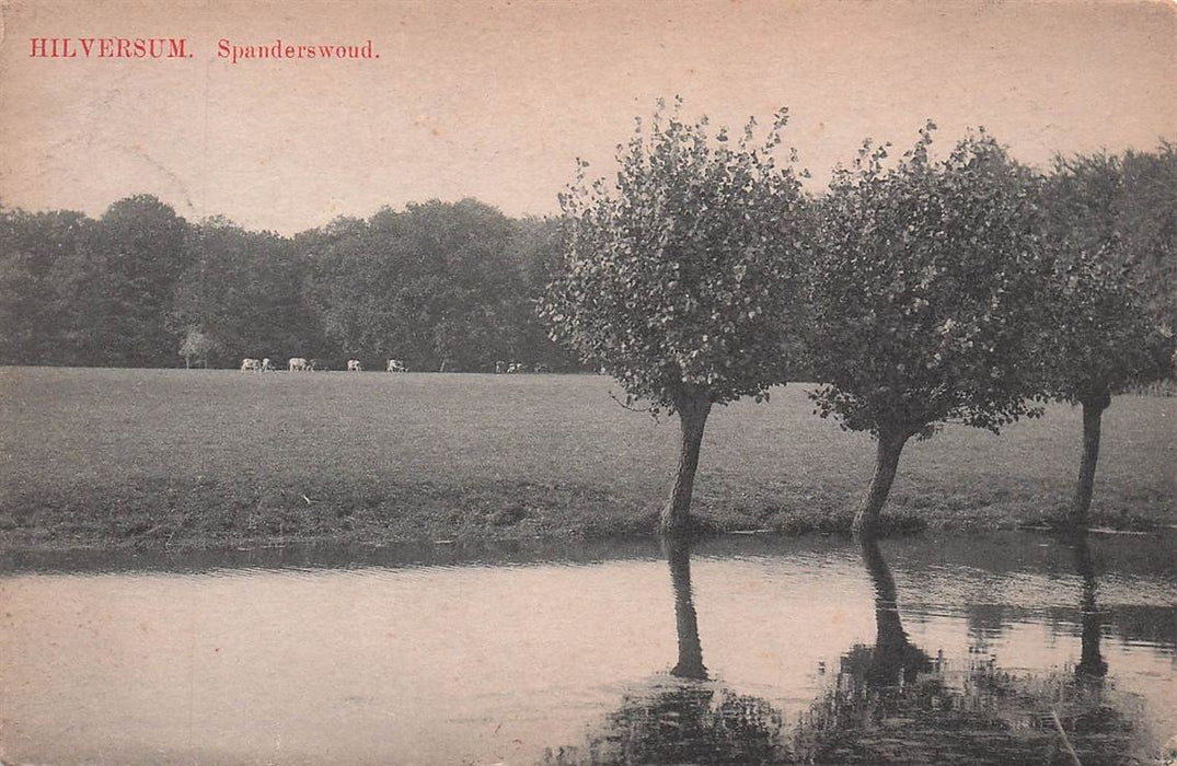 Hilversum Spanderswoud
