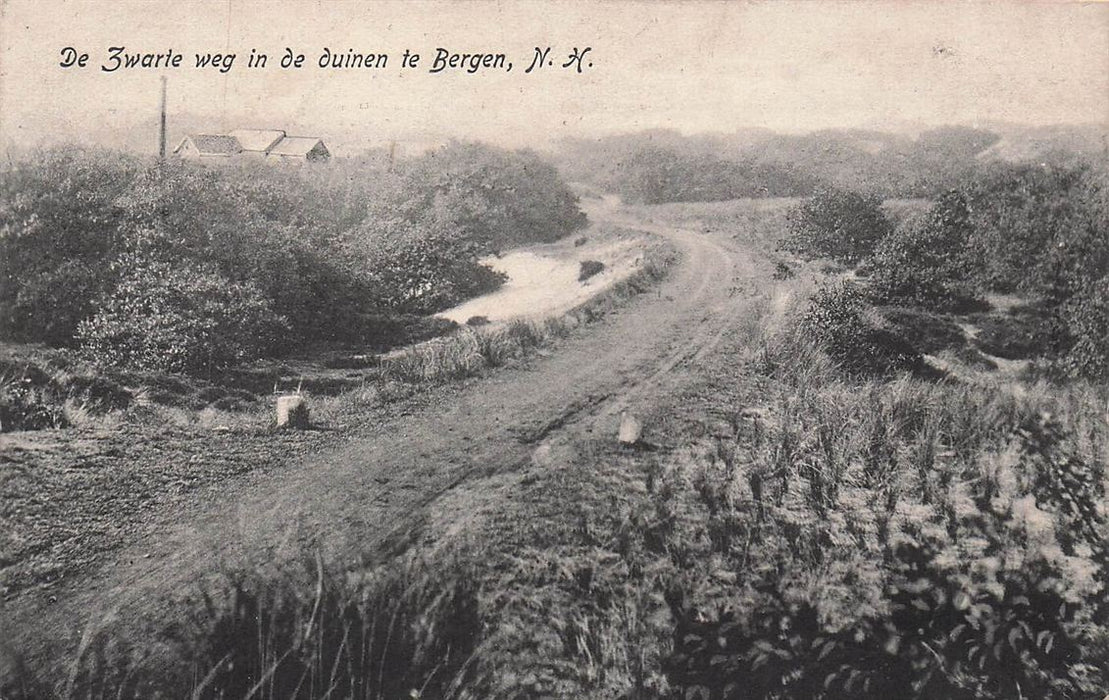 Bergen N H De Zwarte Weg In De Duinen