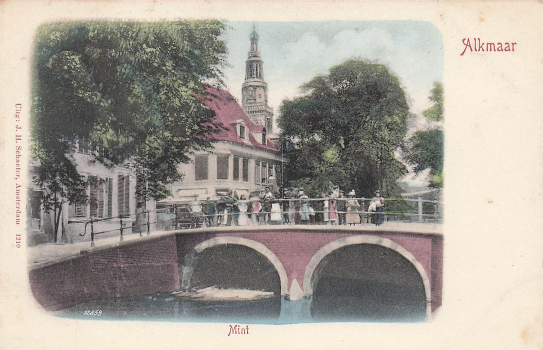 Alkmaar Mint