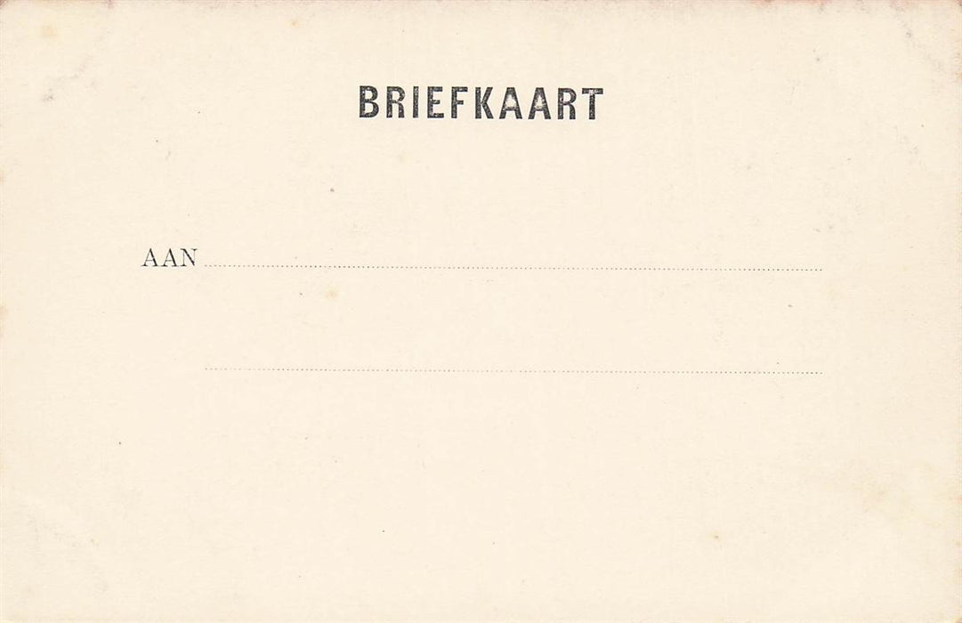Alkmaar Mint