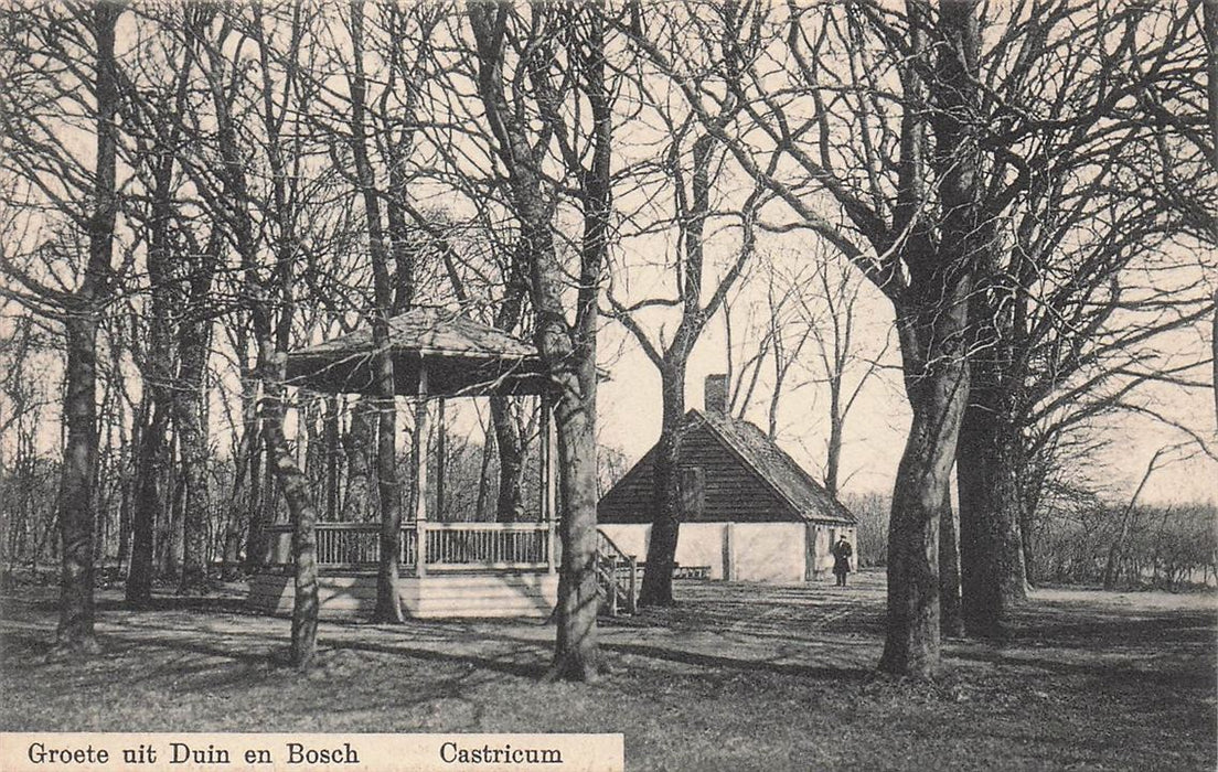Groete Uit Duin En Bosch Castricum