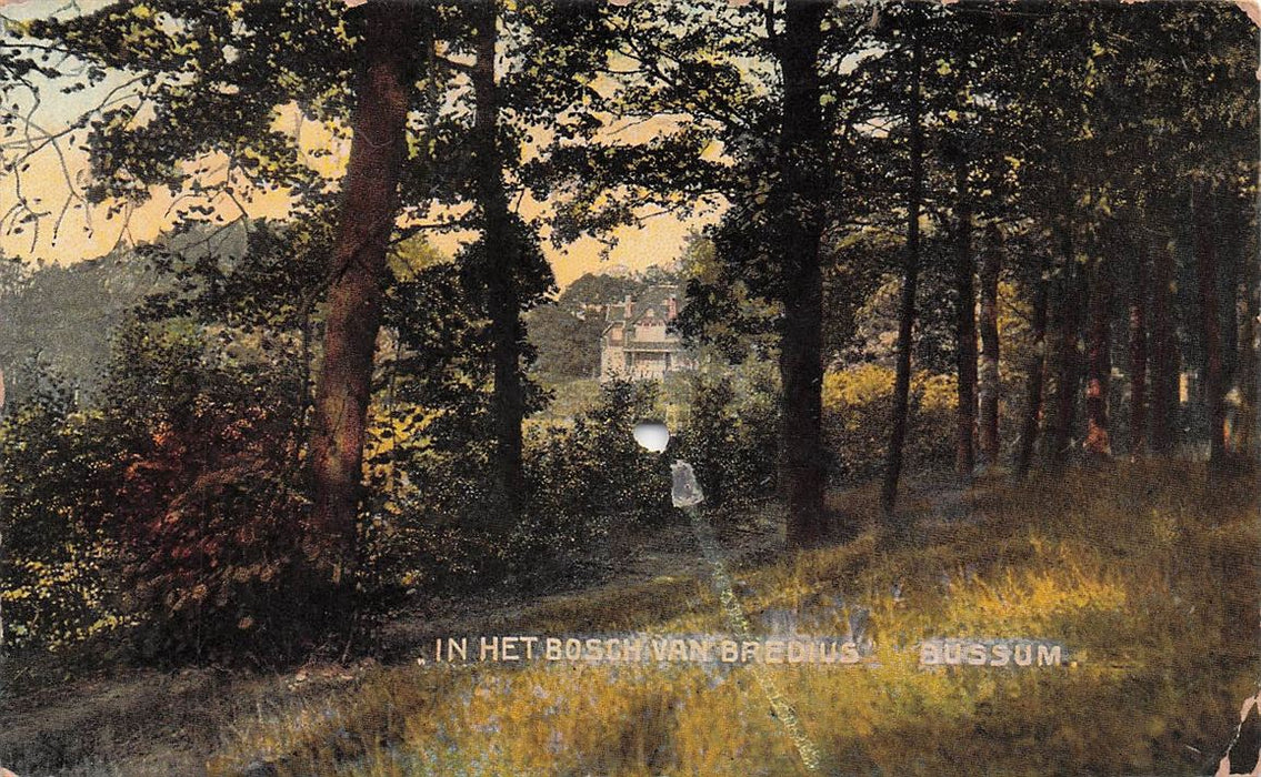 In Het Bosch Van Bredius Bussum (Schade)