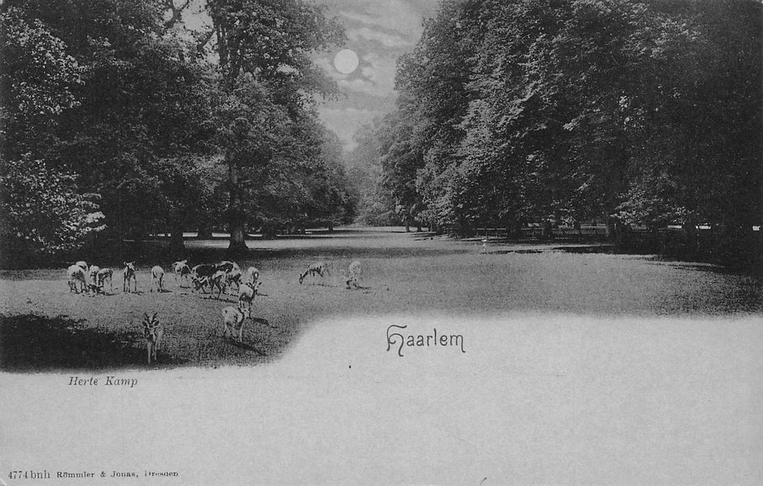 Haarlem Herte Kamp