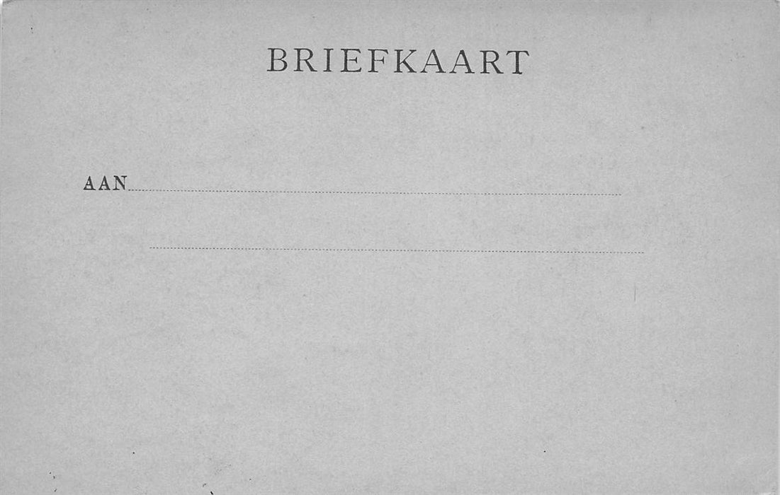 Haarlem Herte Kamp