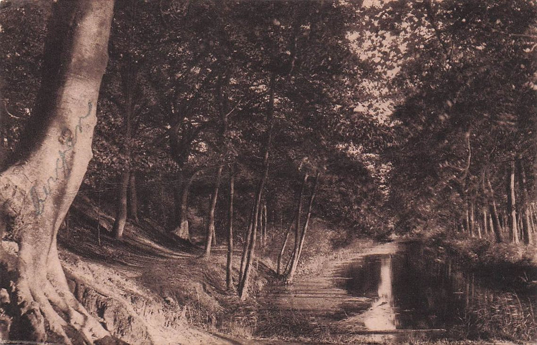 De Kattenberg Te Bergen (N-H.)