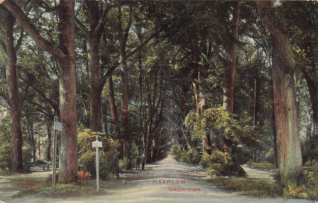 Haarlem Spanjaardslaan