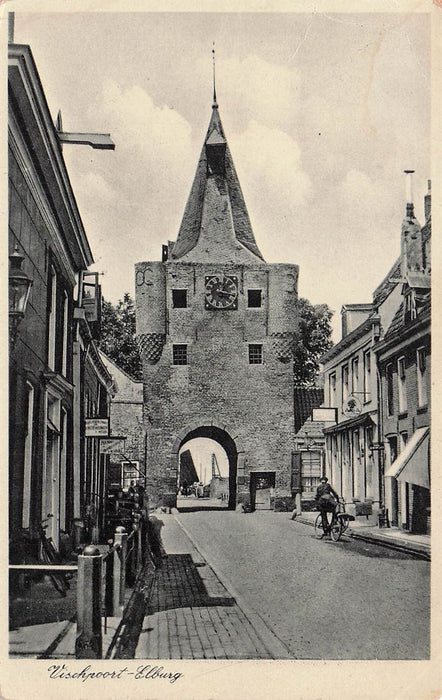 Vischpoort-Elburg