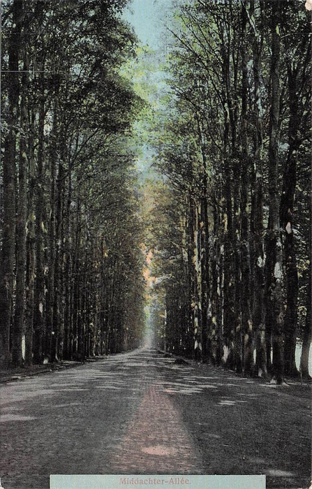 De Steeg Middachter Allee